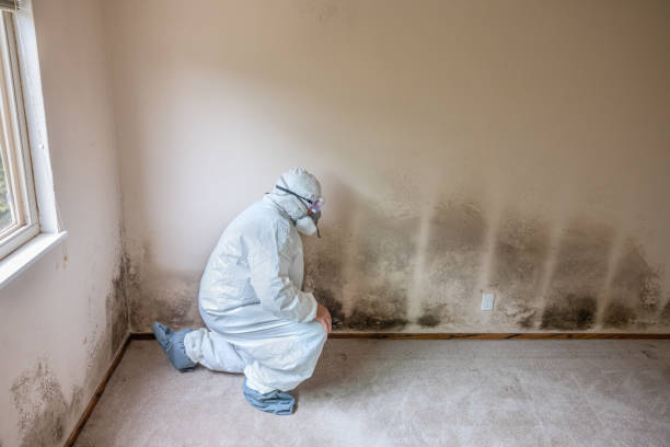 Bryant, WA Mold Remediation Company